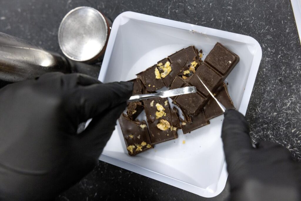 Microdosing with Shroomiez Chocolate Bars