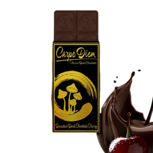 Carpe Diem Mushroom Chocolate Bar
